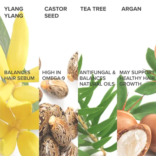 Miniatura 3 de Shedavi Sérum icónico vegano para el cabello con botánicos - Tratamiento de crecimiento para mujeres y hombres, cabello seco y dañado y cuero