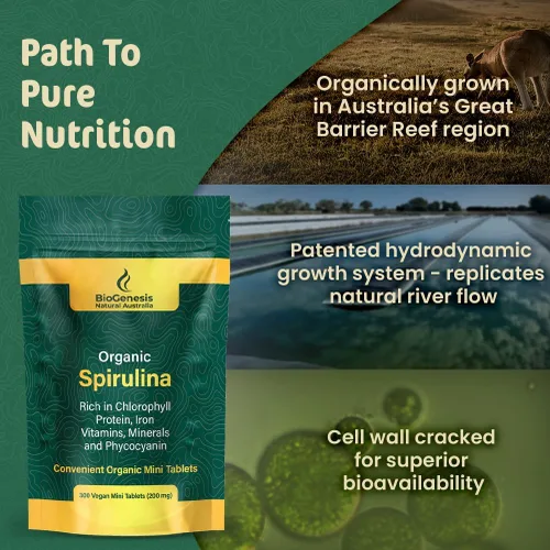 Miniatura 5 de Biogenesis Mini tabletas de espirulina orgánica, 300 unidades (200 mg) Algas azul-verdes cultivadas en Australia Ricas en ficocianina, clorofila