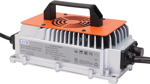 CHINS Cargador de batería de litio de 36V 25A, incluyendo función de carga de 0V, cargador de batería LiFePO4 de 43.8V 25A, especial para batería