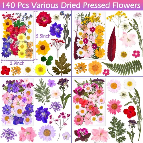 Miniatura 3 de Flores secas prensadas para resina, flores prensadas reales, hojas secas, kit de hierbas naturales a granel para álbumes de recortes, manualidades