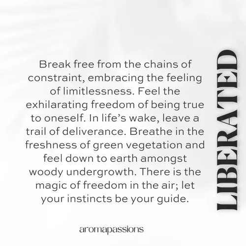 Miniatura 4 de LIBERATED Inspirado en SANTAL 33 Perfume de feromonas colonia para hombres y mujeres Extrait De Parfum Fragancia de aceite esencial de clon