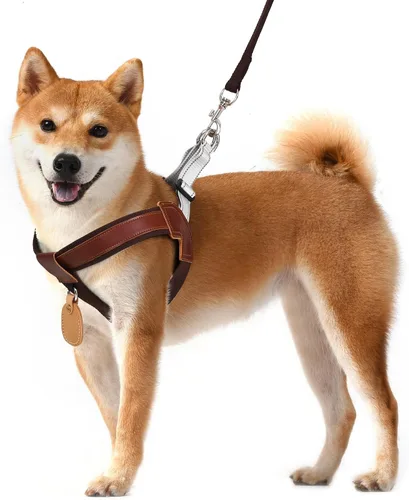 Miniatura 9 de Arnés de poliéster y cuero genuino para perro sin tirones con tiras reflectantes, chaleco ligero con soporte AirTag para perros de tamaño mediano