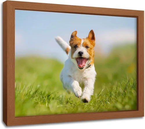 Miniatura 22 de Impresiones en lienzo personalizadas con tus fotos para mascotas, impresiones de fotos familiares, lienzo personalizado, aleación de aluminio, arte