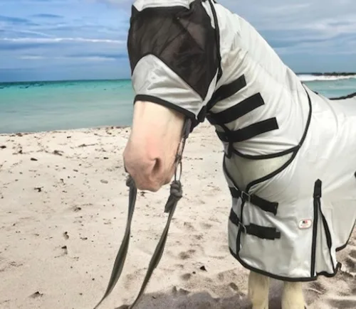 Miniatura 9 de Majestic Ally Sábana para mosca de caballo con cubierta para el cuello y máscara para la cabeza, protección transpirable contra los rayos UV