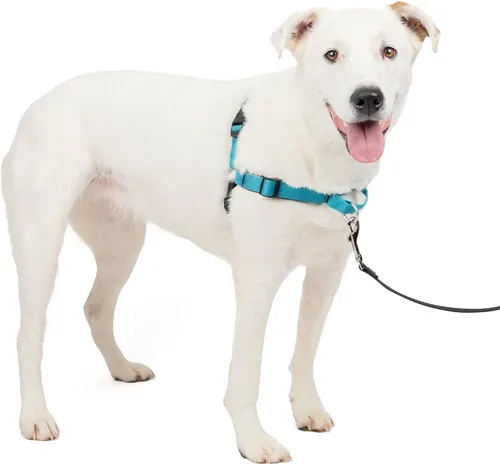 Miniatura 16 de PetSafe Arnés Deluxe Easy Walk – Arnés de pecho para perro de confianza del entrenador con diseño de bucle martingala transpirable – Ayuda a dejar