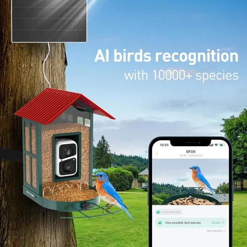 Miniatura 3 de SOLIOM Comedero inteligente para pájaros con cámara para exteriores, casa de pájaros solar de metal duradero, vista en vivo en 2K y alertas Conjunto