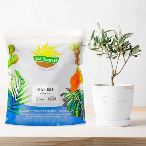 Miniatura 2 de Soil Sunrise Mezcla de tierra para macetas de olivo (8 cuartos de galón) para plantar, trasplantar y cultivar arbustos/plantas de olivo