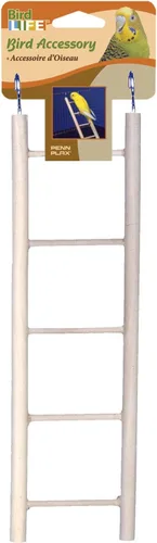 Miniatura 5 de PENN-PLAX Kit de iniciación para pájaros pequeños con jaula y accesorios, ideal para periquitos, tortolitos, loros, pinzones, canarios y más, jaula