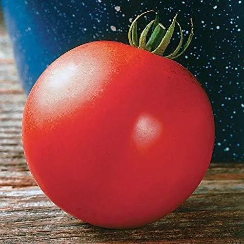 Semillas de tomate híbridas Mountain Fresh Plus, hermosas y deliciosas, 10 semillas