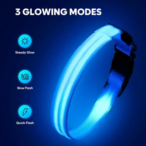 Miniatura 2 de Collar de perro con luz LED, recargable que brilla en la oscuridad, collar ajustable para perros pequeños (S, azul)