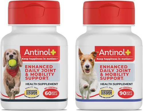 Miniatura 11 de Antinol Suplemento para la movilidad, la cadera y las articulaciones para perros, mejillones de labios verdes y aceite de krill, suplemento
