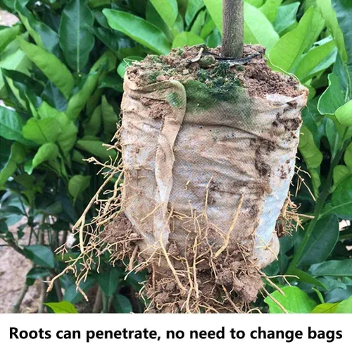 Miniatura 4 de 100 bolsas de cultivo para guardería, bolsa de cultivo de plántulas de tela no tejida para alta tasa de supervivencia de plántulas, bolsas