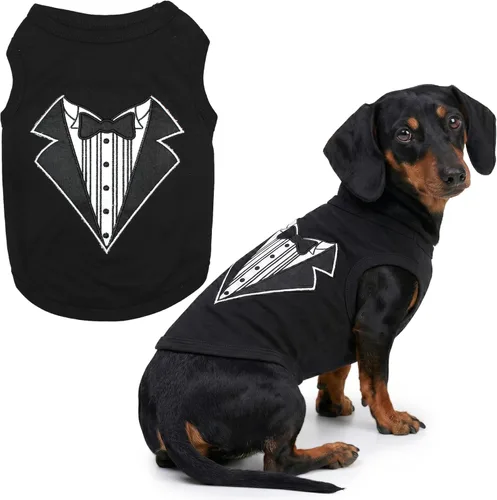 Miniatura 19 de Parisian Pet - Camiseta bordada para perros y gatos, con texto en inglés Sexy and I Know It, XS Sexy y lo sé