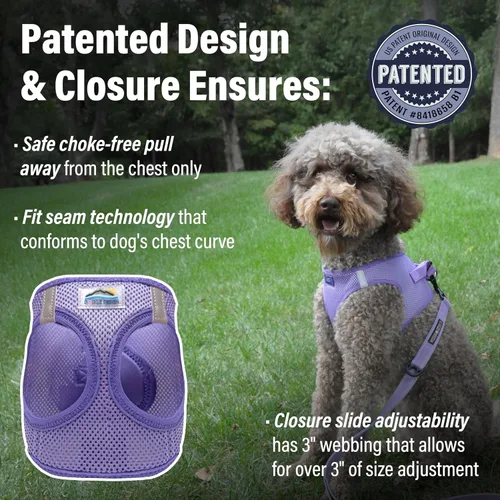 Miniatura 2 de Doggie Design Arnés para perro – Arnés sin estrangulamiento para mascotas, chaleco para perro, malla de poliéster, diseño simple, chaleco