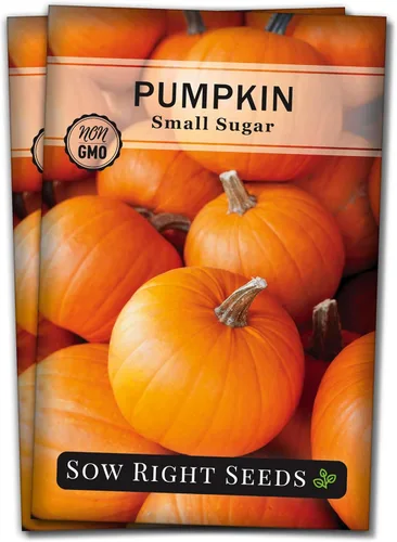 Miniatura 7 de Sow Right Seeds - Semilla pequeña de calabaza de azúcar para plantar - Paquete de reliquia sin OMG con instrucciones para plantar un huerto casero