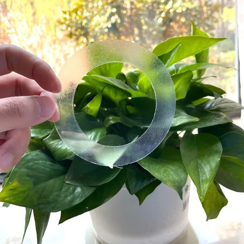 Miniatura 5 de Calcomanías holográficas para ventana para golpes de pájaros, recordatorio de vidrio, calcomanías autoadhesivas anticolisión, evita que los pájaros