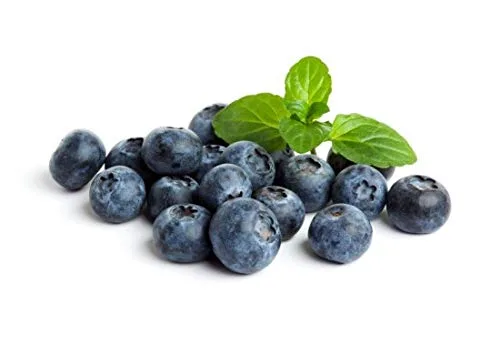 Fruta congelada fresca de Northwest Wild Foods - bayas silvestres orgánicas, naturales, para una dieta saludable y antioxidante. Ideal para batidos,