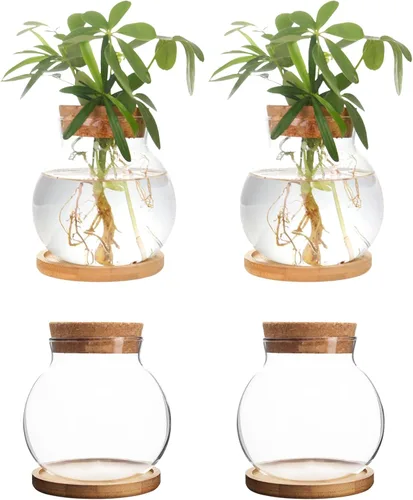 Miniatura 8 de Estación de Propagación de Plantas CHPINDAM, Jarrones de Contenedor de Vidrio Hidropónico, con Plato de Madera para Escritorios, Casas, Decoraciones