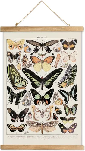 Miniatura 9 de XIAOAIKA Póster Educativo de Vida Silvestre de Seto Británico - Cuadro Ilustrado de la Naturaleza con Marco de Madera - Arte de Pared de Animales