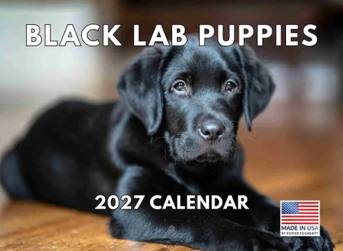 Miniatura 221 de Calendario de pared mensual 2025 Great Dane de 12 meses, fabricado en Estados Unidos