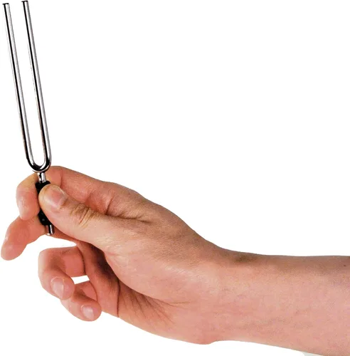 Miniatura 2 de D'Addario Accesorios Planet Waves Tuning Tenedor