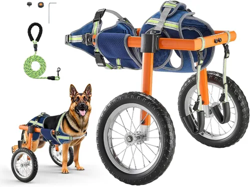 Miniatura 14 de VEVOR Silla de ruedas para perros para patas traseras, silla de ruedas ligera de 2 ruedas para mascotas, altura, ancho y longitud ajustable, carrito