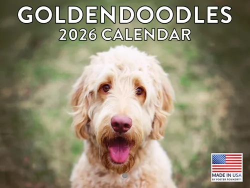 Miniatura 77 de Calendario de pared mensual 2025 Great Dane de 12 meses, fabricado en Estados Unidos
