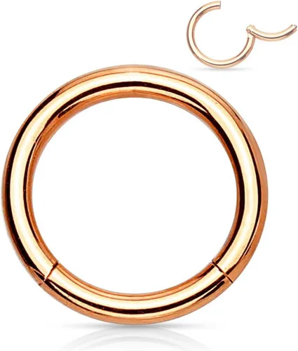Miniatura 100 de Forbidden Body Jewelry - Piercing para la nariz de acero quirúrgico 316L con bisagra, 14G, 16G, 18G, diámetro de 15/64, 5/16, 25/64, 15/32 pulgadas