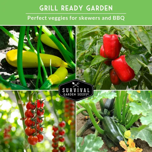Miniatura 4 de Survival Garden Seeds Kabob Skewer Vegetables Collection - Tomate cereza rojo grande, calabacín negro de belleza, calabaza de verano de cuello recto
