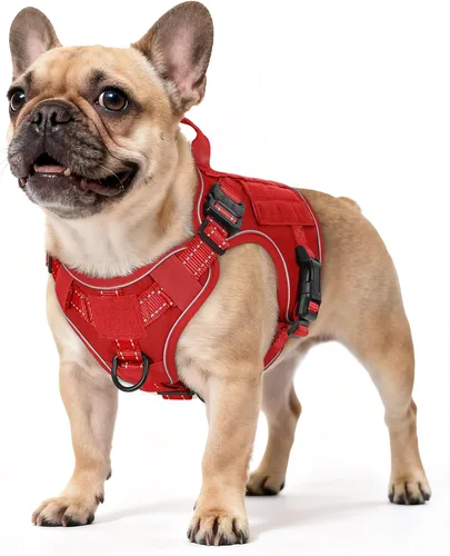 Miniatura 9 de rabbitgoo - Arnés táctico para perros pequeños, arnés resistente para mascotas con asa, chaleco de servicio sin tirones para razas pequeñas, chaleco