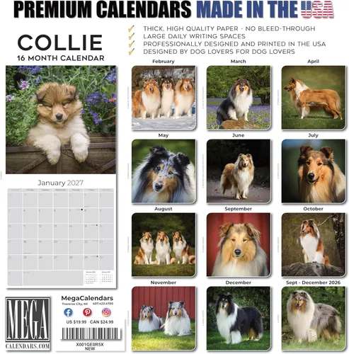 Miniatura 6 de Calendario Collie 2025 2026 – Calendario mensual de pared de raza de perro – 12 x 24 pulgadas abierto – Papel grueso que no se corre – Regalar