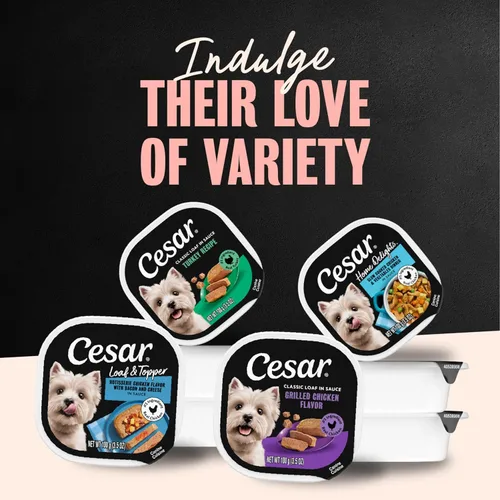Miniatura 7 de Cesar Classic Loaf in Sauce - Alimento húmedo para perros adultos, para amantes de las aves de corral, paquete variado con pollo real, pavo o pato