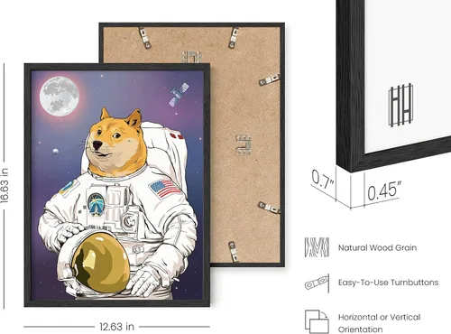 Miniatura 3 de HAUS AND HUES AstroDoge - Póster de meme, divertido arte de pared de Doge para dormitorio y sala de universidad, marco negro de 12 x 16 pulgadas