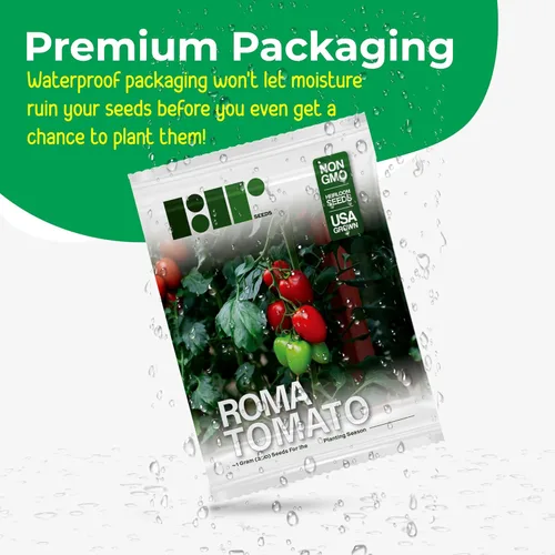 Miniatura 3 de Más de 300 semillas de tomate Roma, semillas de primera calidad cultivadas en Estados Unidos sin OMG para plantar por RDR Seeds