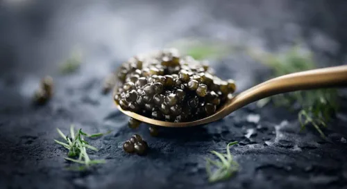 Caviar híbrido Star Imperial Kaluga - H. Dauricus/A Schrenckii Roe - Caviar dorado Malossol fresco entrega durante la noche (2 onzas)