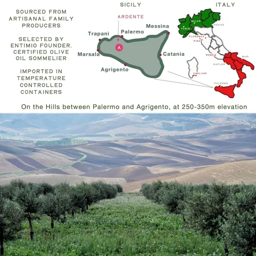 Miniatura 5 de Entimio Ardente Aceite de oliva virgen extra italiano orgánico de Italia, más de 600 mg/kg alto en polifenoles, ganador del oro 2025, evoo