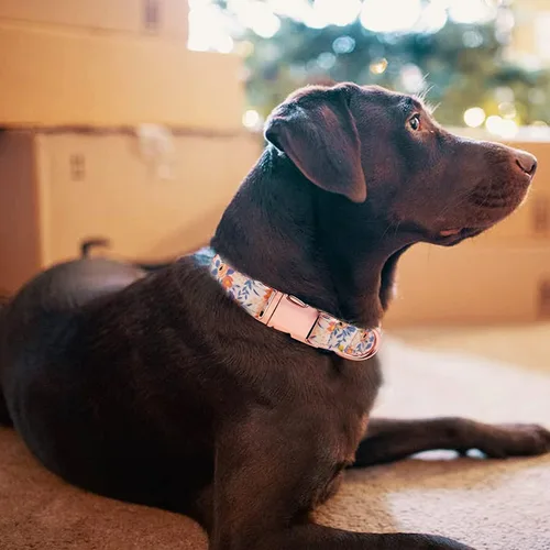 Miniatura 5 de COOLFIY - Collar para perro, lindos patrones florales de flores, collares para mascotas para hembras, hembras, perros pequeños, medianos y grandes