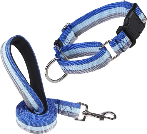 Miniatura 10 de Martingale - Juego de collar y correa para perro, para caminar, jugar, entrenar, collares reflectantes ajustables con correa para perros pequeños
