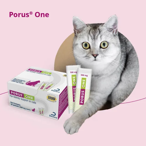 Miniatura 8 de Porus One, 500mg, 30ct