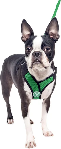 Miniatura 5 de gooby Choke última intervensión Perfect Fit Active X step-in sintético Piel de Cordero. Soft Arnés para perros pequeños, L, Hunter Green Verde