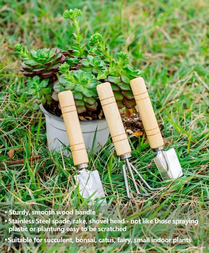 Miniatura 4 de Josteve juego de 5 herramientas para suculentas, mini herramientas de jardín pequeñas para interior, tijeras de podar y jardinería, juego de mano