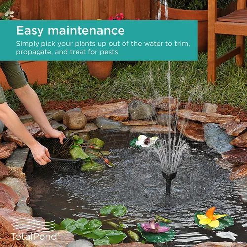 Miniatura 8 de TotalPond Cesta para plantas acuáticas, 10 pulgadas Paquete de 2