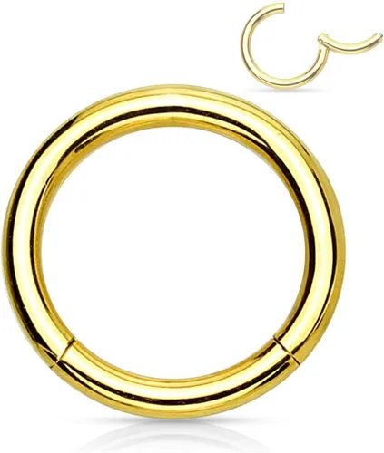 Miniatura 63 de Forbidden Body Jewelry - Piercing para la nariz de acero quirúrgico 316L con bisagra, 14G, 16G, 18G, diámetro de 15/64, 5/16, 25/64, 15/32 pulgadas