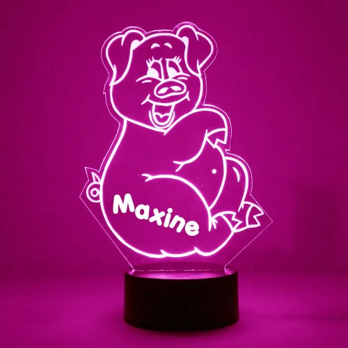 MMS Pig - Lámpara LED de luz nocturna, personalizada con tu nombre o texto, control remoto con 16 colores, 4 modos de luz, lámpara LED de regalo