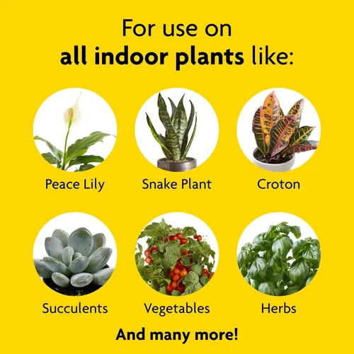 Miniatura 4 de Alimento para plantas de interior, 8 onzas.