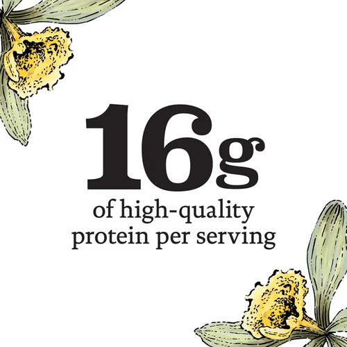 Miniatura 3 de siggi’s® Yogur escabechado islandés sin grasa, Vainilla, 5.3 oz. Vaso de porción única – Yogur espeso y rico en proteínas