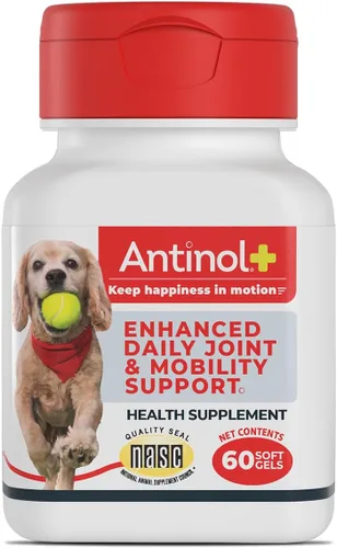 Antinol Suplemento para la movilidad, la cadera y las articulaciones para perros, mejillones de labios verdes y aceite de krill, suplemento para las