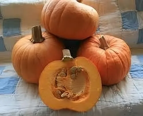Miniatura 2 de Pastel de calabaza y azúcar Great Heirloom Vegetable by Seed Kingdom Bulk Semillas de 1 libra