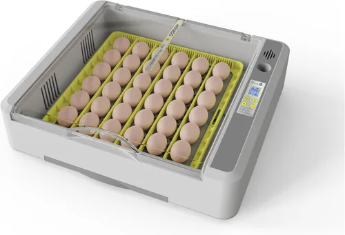Miniatura 9 de Incubadora de huevos para incubar pollos, girador automático de 36 huevos con control de temperatura y humedad, vista panorámica multifuncional