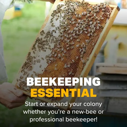 Miniatura 5 de Mann Lake Suplemento Pro Health para alimentación de abeja, sustituto del polen de abeja, aumenta la fuerza de la colmena con fórmula antifúngica